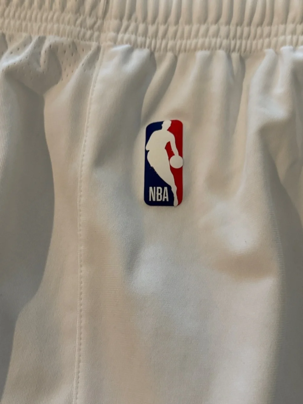 Jordan Charlotte Hornets On Court Player Shorts Nike 44 Pro Cut Game - Picture 8 of 13